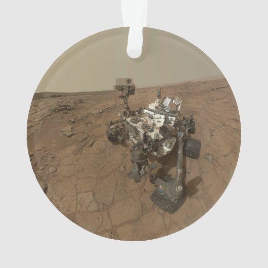 Neugier auf der Oberfläche der Mars. Ornament (Rückseite)