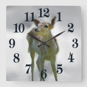 Neugier des Hirsches Quadratische Wanduhr