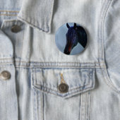 Neugier für Pferde Button (Beispiel)