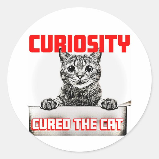 Neugier heilte die Katze Runder Aufkleber (Vorderseite)