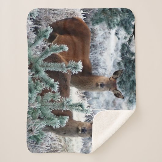 Neugier Hirschdecke Sherpadecke (Vorderseite)