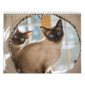 Neugier Kalender (Titelbild)