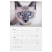 Neugier Kalender (Mär 2026)