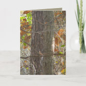 Neugier Karte (Vorderseite)