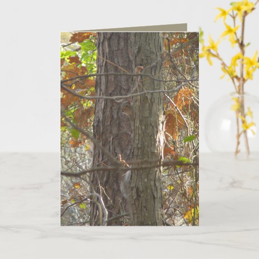 Neugier Karte (Gelbe Blume)