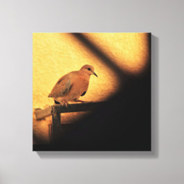 Neugier Leinwanddruck