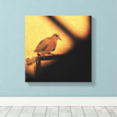 Neugier Leinwanddruck (Insitu (Holzboden))