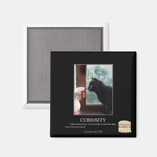 Neugier Magnet (Vorderseite/Rückseite)