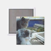 Neugier Magnet (Vorderseite/Rückseite)