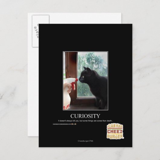 Neugier Postkarte (Vorne/Hinten)