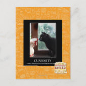 Neugier Postkarte (Vorderseite)