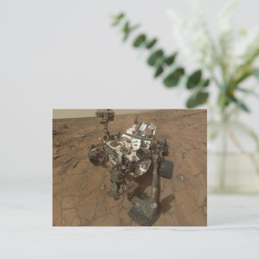 Neugier Postkarte (Stehend Vorderseite)