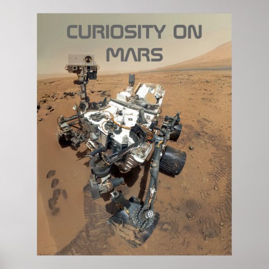 Neugier Selbstportrait auf Mars Poster (Vorne)
