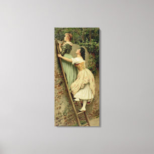 Neugier, von den Birnen Jahrbuch, Weihnachten, Leinwanddruck