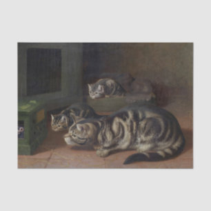 Neugier von Horatio Henry Couldery Seidenpapier