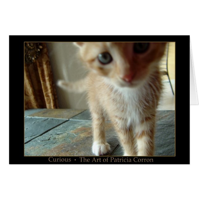 neugierig (Vorderseite (Horizontal))