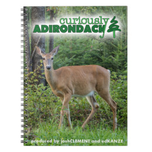 Neugierig Adirondack Anmerkungsbuch (Rotwild) Notizblock