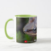 Neugierig Adirondack Frosch-Tasse Tasse (Links)