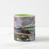 Neugierig Adirondack Frosch-Tasse Tasse (Zentrum)