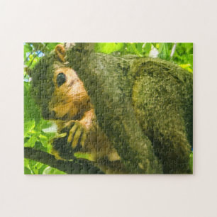 "Neugierig in der Kanopie" Puzzle