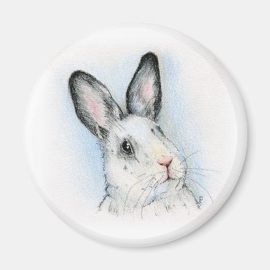 neugierig magnet (Vorne)