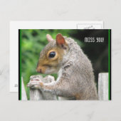 Neugierig niedlich, Fräulein Sie! Postkarte (Vorne/Hinten)