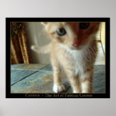 neugierig poster (Vorne)