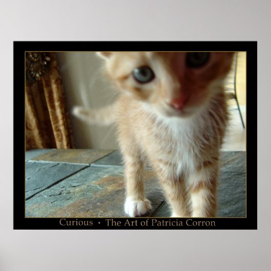 neugierig poster (Vorne)