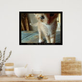 neugierig poster (Küche)