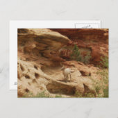 Neugierig... Postkarte (Vorne/Hinten)