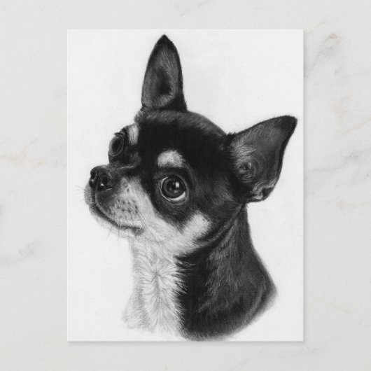 Neugierige Augen - Handgemalt Chihuahua Postkarte (Vorderseite)