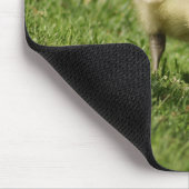 Neugierige Baby-Gans und der Baby-Pilz Mousepad (Ecke)