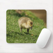 Neugierige Baby-Gans und der Baby-Pilz Mousepad (Mit Mouse)