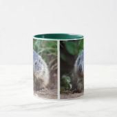 Neugierige Baby Marmot Tasse (Zentrum)