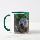 Neugierige Baby Marmot Tasse (Links)