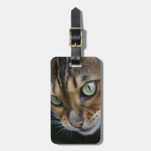 Neugierige Bengalische Katze Gepäckanhänger