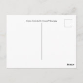 Neugierige, bezaubernde Owlets Postkarte (Rückseite)