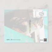 Neugierige Calico Katze auf Aquamarine Postkarte (Rückseite)
