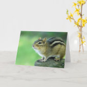 Neugierige Chipmunk-Grußkarte Karte (Gelbe Blume)