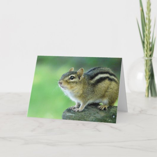 Neugierige Chipmunk-Grußkarte Karte (Vorderseite)