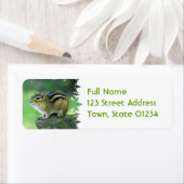Neugierige Chipmunk-Mailing-Labels (Insitu)