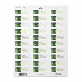 Neugierige Chipmunk-Mailing-Labels (Vorne)