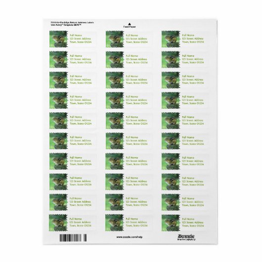 Neugierige Chipmunk-Mailing-Labels (Vorne)