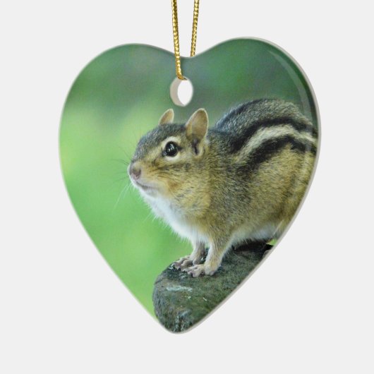 Neugierige Chipmunk-Verzierung Keramik Ornament (Links)