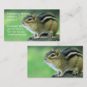 Neugierige Chipmunk-Visitenkarten Visitenkarte (Vorne/Hinten)