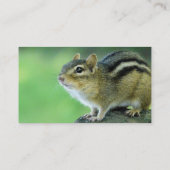 Neugierige Chipmunk-Visitenkarten Visitenkarte (Rückseite)