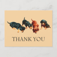 Neugierige Dachshund-Welpen Vintage Wiener Hunde