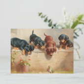 Neugierige Dackel Welpen | Carl Reichert (Stehend Vorderseite)