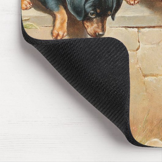 Neugierige Dackel Welpen | Carl Reichert Mousepad (Ecke)