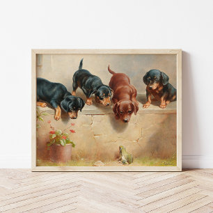 Neugierige Dackel Welpen Carl Reichert Poster